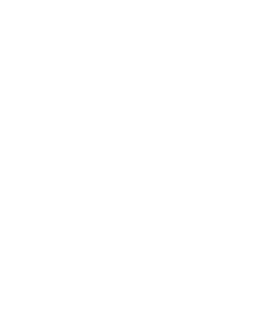 Jazz in’t Park